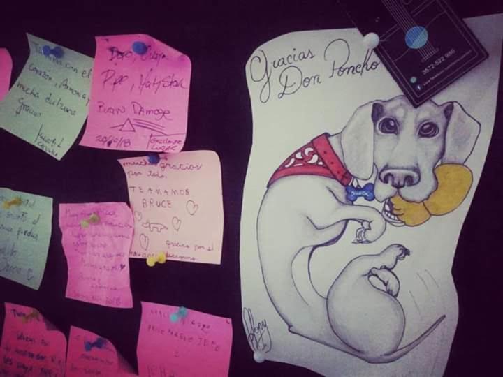 Hostel Don Poncho Valparaíso Екстериор снимка